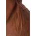 Ротатор TOYFA RealStick Elite Mulatto, реалистичный, на присоске, мулат, 16 см